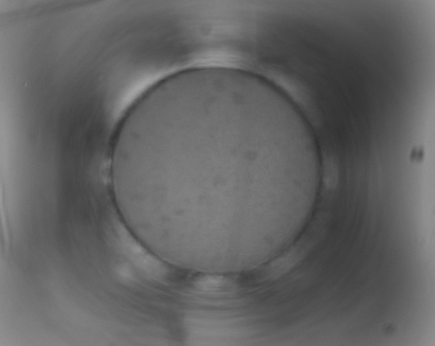 X0000114661462200910201520