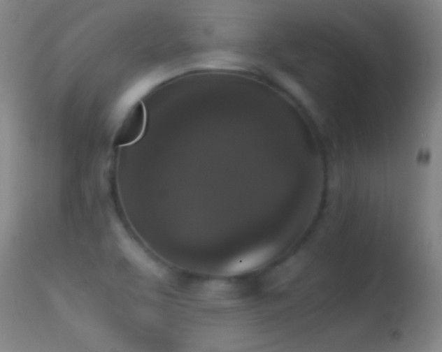 X0000114661463200910201520