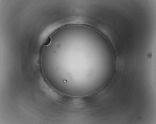 X0000114661464200910201520