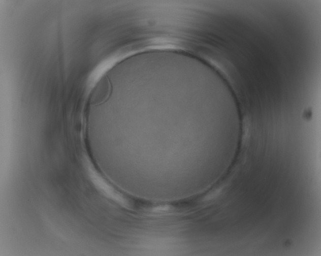 X0000114661467200910201520