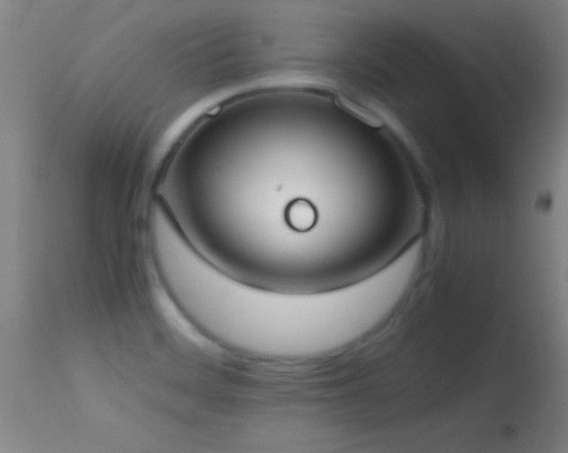 X0000114661468200910201520