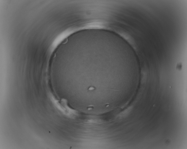 X0000114661469200910201520