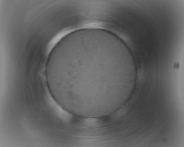 X0000114661470200910201520