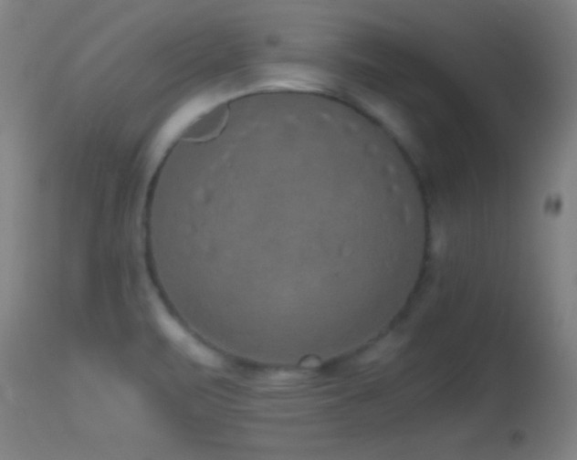 X0000114661471200910201520