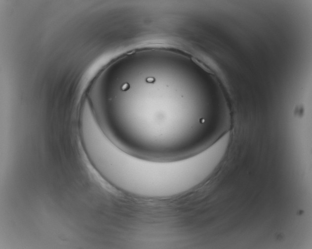 X0000114661472200910201520