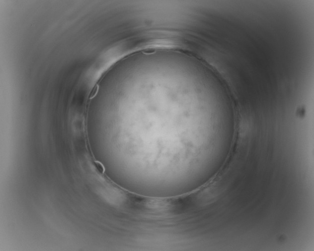 X0000114661473200910201520