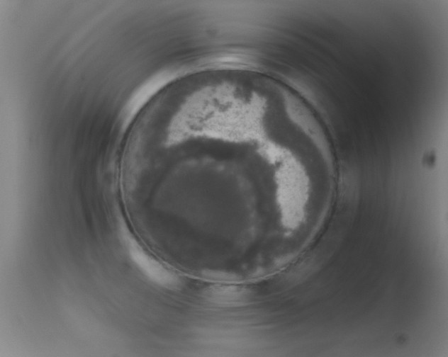 X0000114661474200910201520