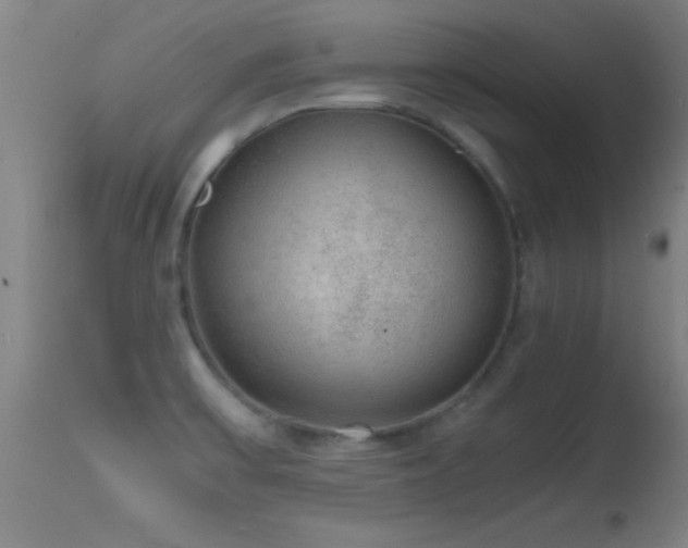 X0000114661475200910201520