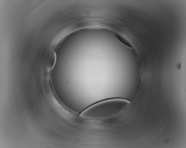 X0000114661476200910201520