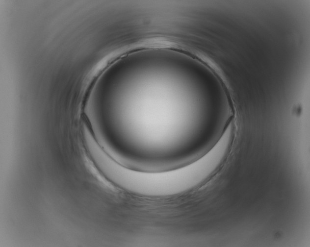 X0000114661477200910201520