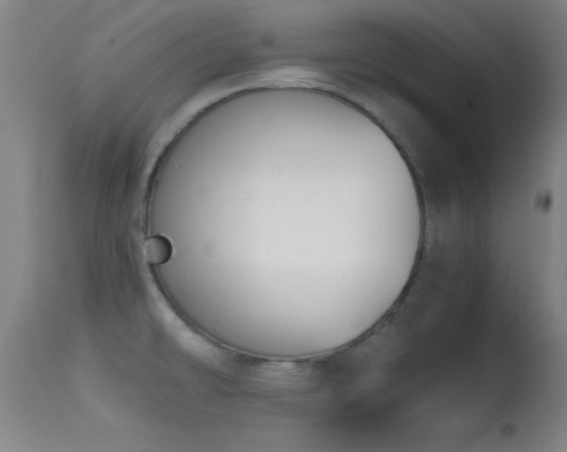 X0000114661478200910201520