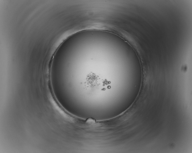 X0000114661479200910201519