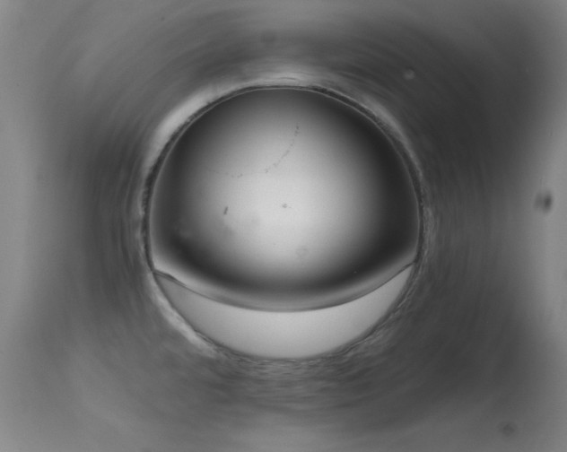 X0000114661480200910201519