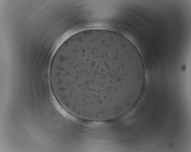 X0000114661482200910201519