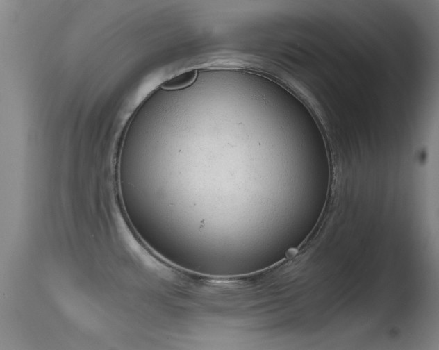 X0000114661483200910201519