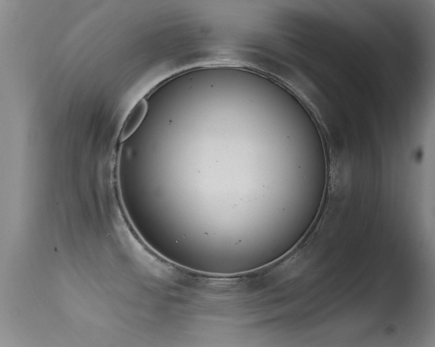 X0000114661484200910201519