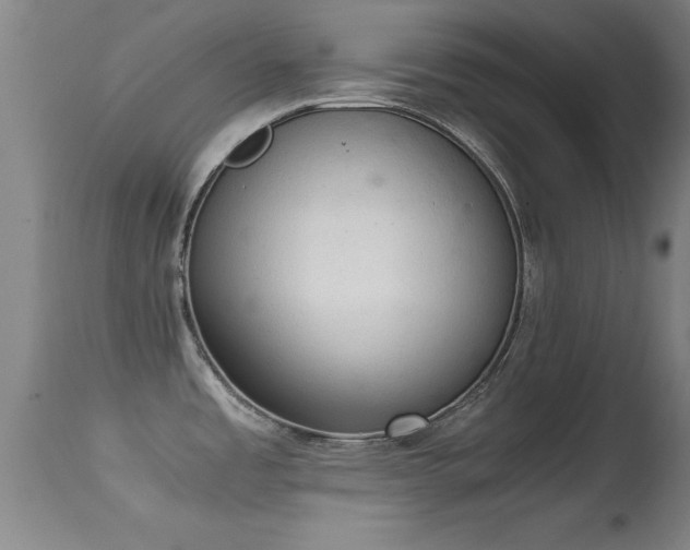 X0000114661485200910201519