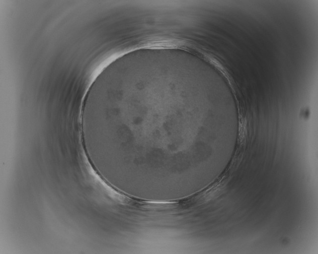 X0000114661487200910201519