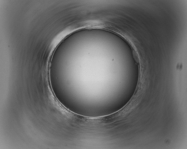 X0000114661488200910201519