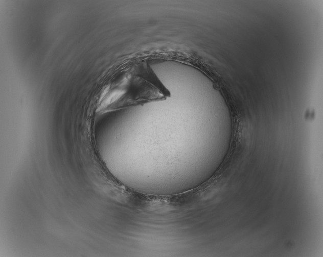 X0000114661489200910201519