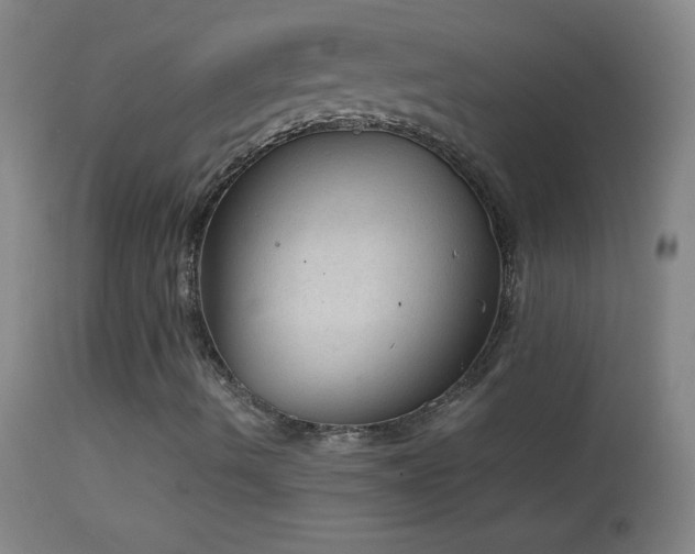 X0000114661490200910201519