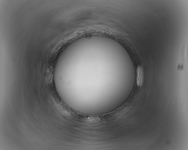 X0000114661491200910201519