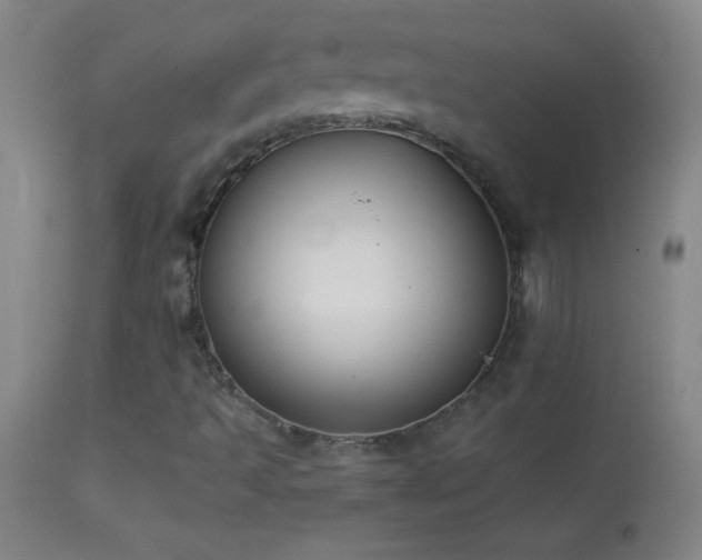 X0000114661493200910201519