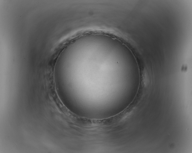 X0000114661494200910201519