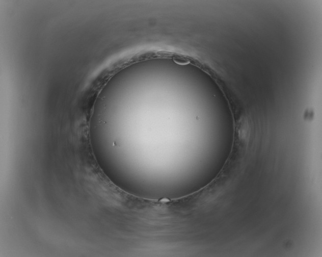 X0000114661495200910201519