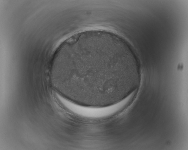 X0000114661497200910201519