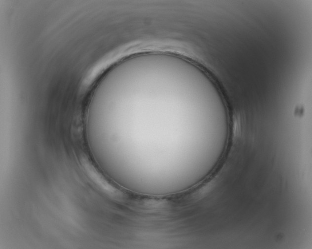 X0000114661498200910201519