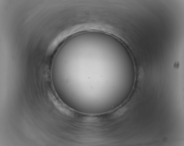 X0000114661499200910201519