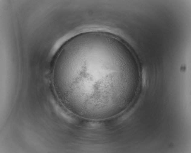 X0000114661501200910201519