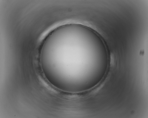 X0000114661502200910201519