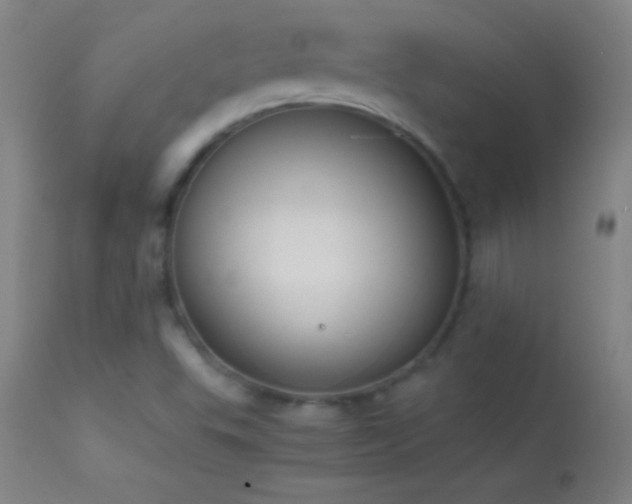 X0000114661503200910201519