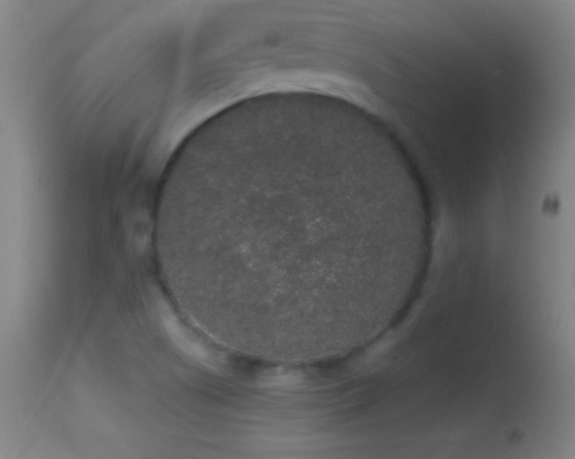 X0000114661505200910201519