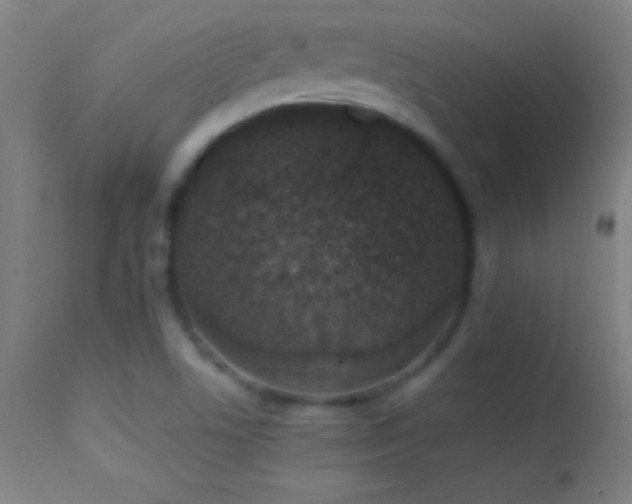 X0000114661506200910201519