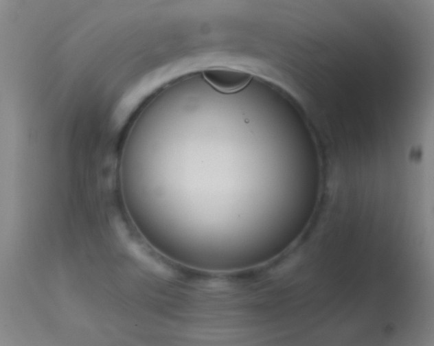 X0000114661507200910201519