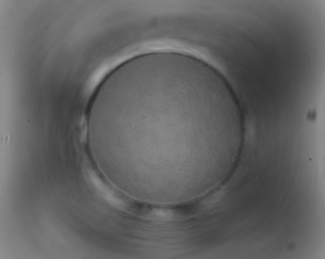 X0000114661509200910201519