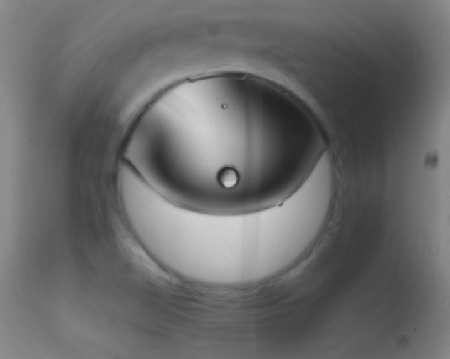 X0000114661510200910201519