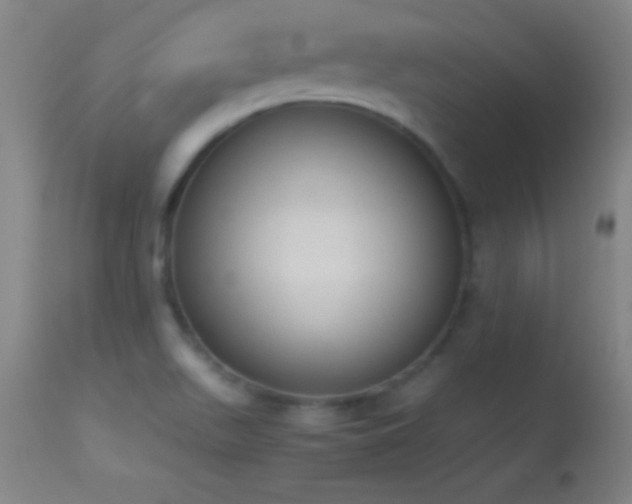 X0000114661511200910201519