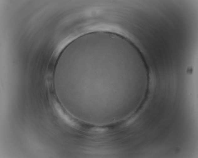 X0000114661513200910201519