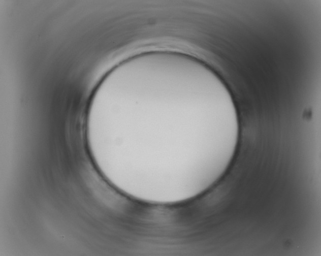 X0000114661514200910201519