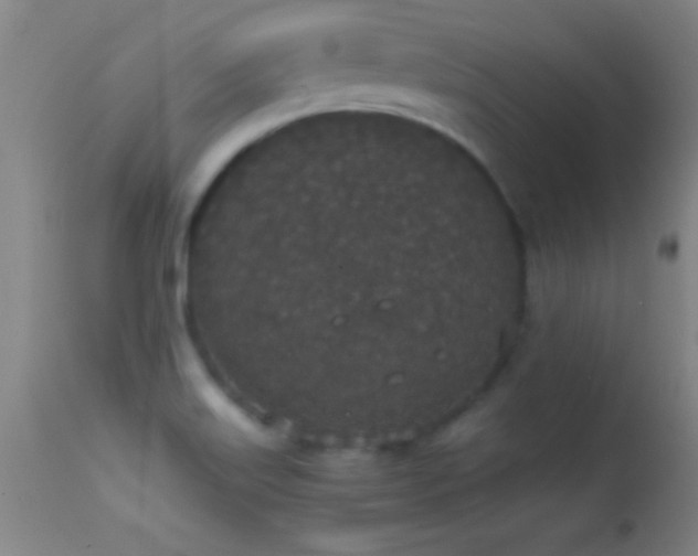 X0000114661515200910201519