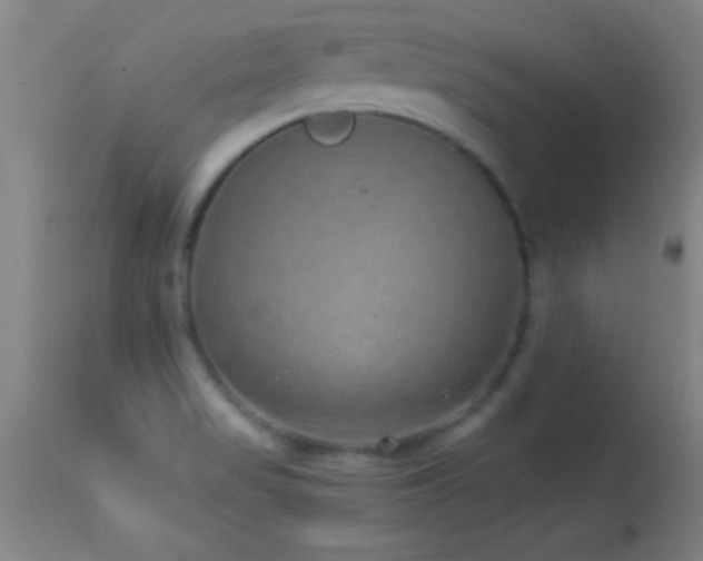 X0000114661517200910201519