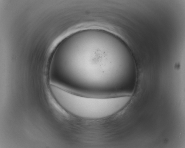 X0000114661518200910201519