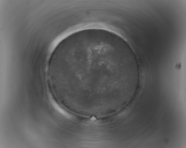 X0000114661519200910201519