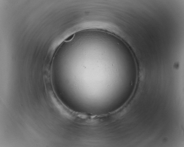 X0000114661521200910201519