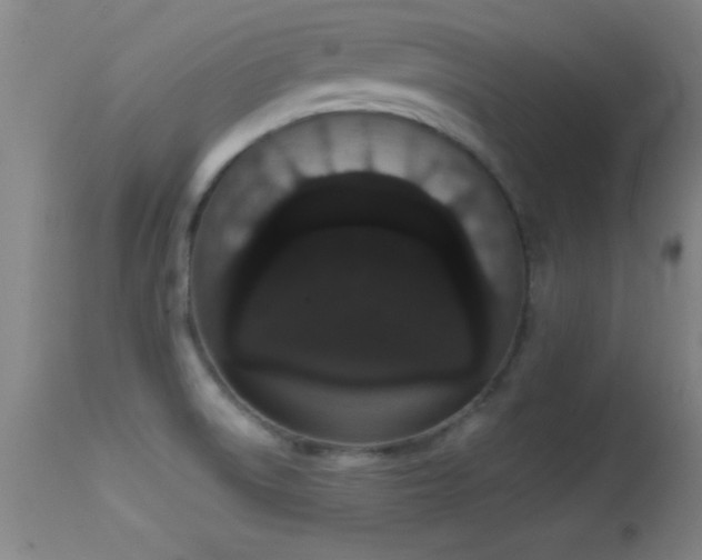 X0000114661522200910201519