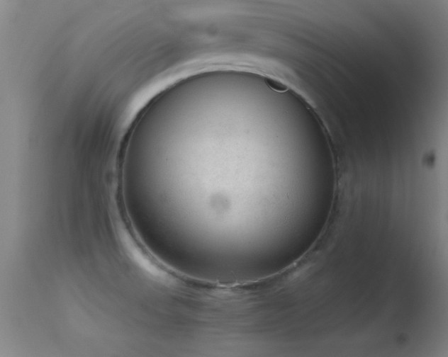 X0000114661523200910201519